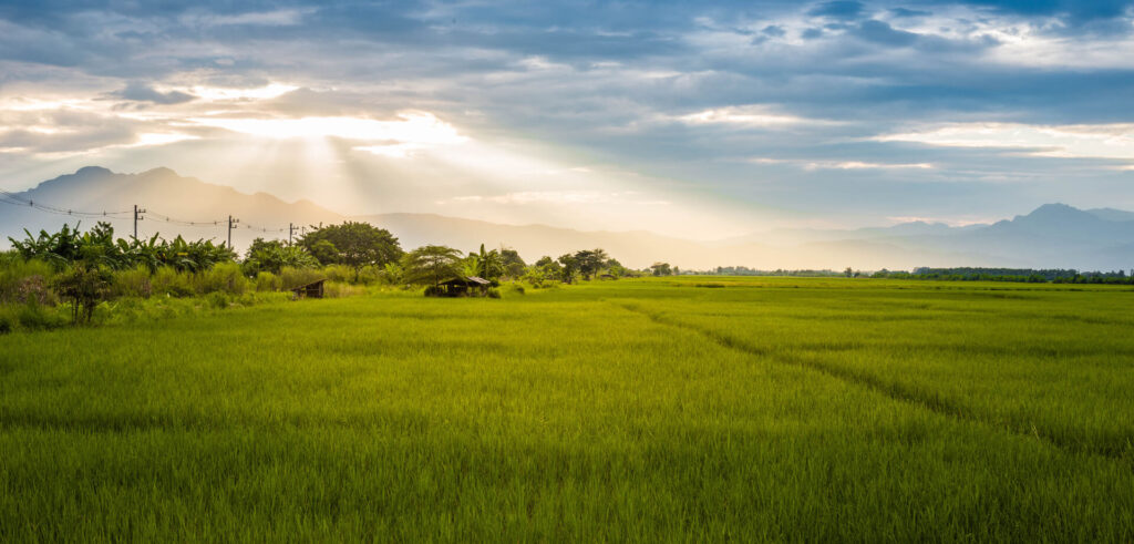 ULTIMATE GUIDE TO BUYING LAND: TIPS, STRATEGIES & SIMPLIFIED PROCESS