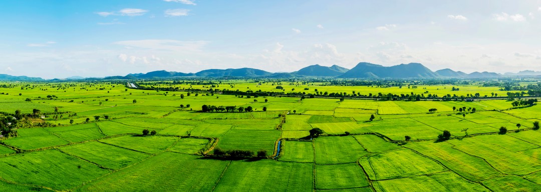 why-buy-land